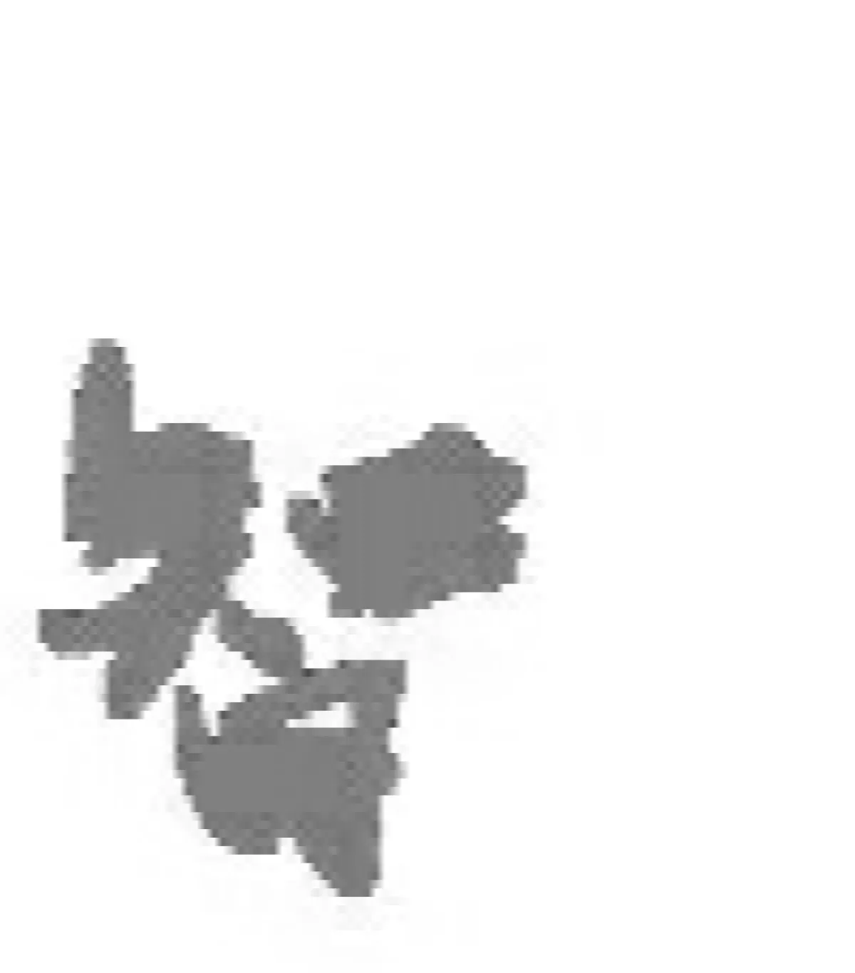 zhi.webp.jpg