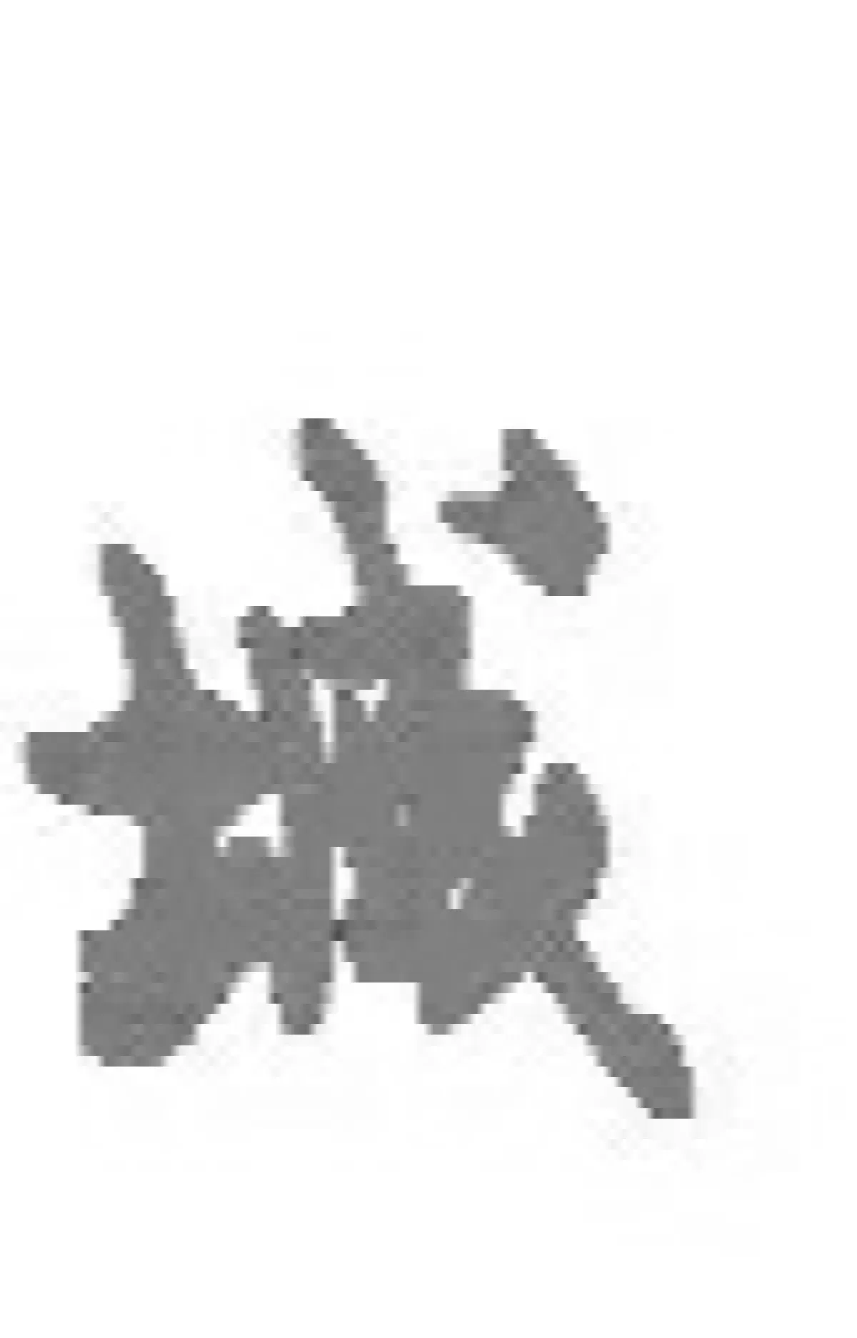 cheng.webp.jpg