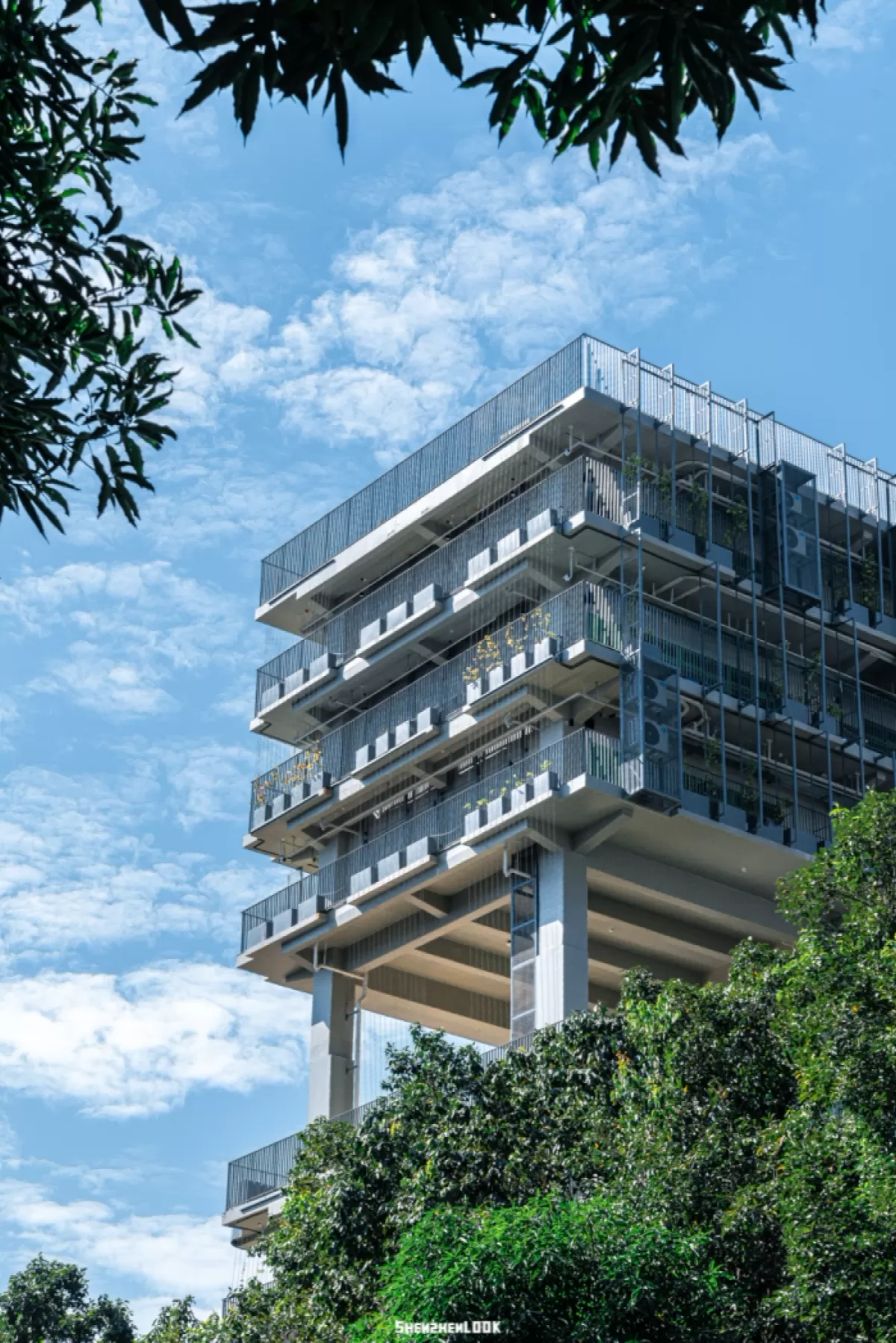 深圳国际交流学院安托山校区-2.png