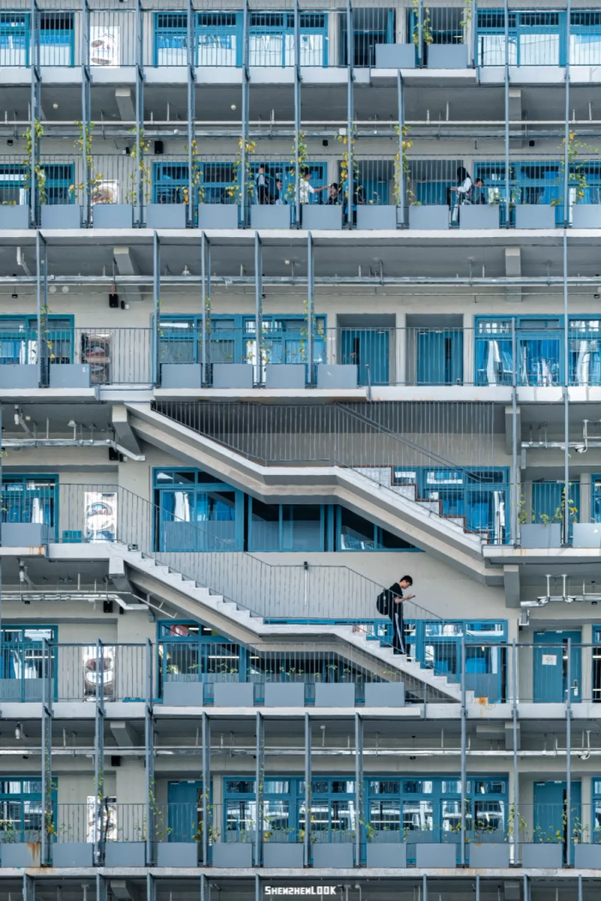 深圳国际交流学院安托山校区-12.png